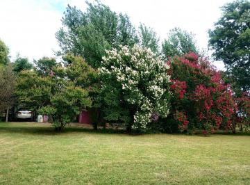 Terreno · 150m² · Alquiler Casa y 1 Hectarea de Lote Cañada de Gomez