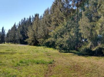 Terreno , Brandsen · Venta de Lote en Ecobarrio El Retiro