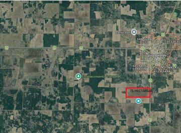 Campo · 75ha · Campo Venta 75 Hectáreas Villa Berteth