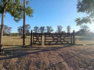 Terreno · 10000m² · Lote de 1 Hectárea Plano en Campos del Virrey — El Más Grande Disponible del Barrio