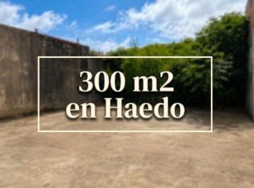 Terreno · 313m² · Venta Lote Haedo Oportunidad 300 m²