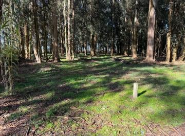 Terreno · 450m² · Terreno en Balneario Mar Chiquita