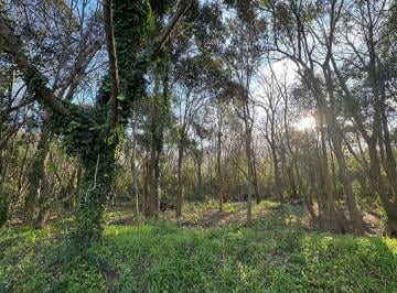 Terreno , Ensenada · Lote en Isla Santiago 10x28