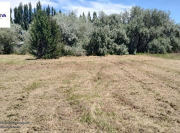 Terreno · 897m² · Terreno en Cipolletti