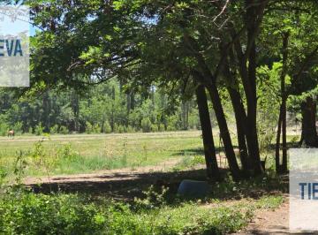 Terreno · 7ha · Chacra Costa Rio Limay Plottier