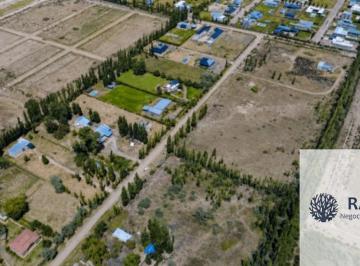Terreno , Cipolletti · Terreno / Lote en Venta de 11015 m² Ubicado en Cipolletti