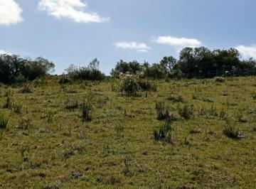 Campo · 65000ha · Chacra en Venta en Sierra de Carapé, Uruguay