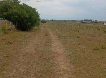 Campo · 30000ha · Chacra en Venta, San Carlos, Uruguay