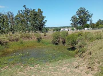 Quinta vacacional · 75400ha · 4 Ambientes · 2 Cocheras · Chacra en Venta, Camino de Los Ceibos, Uruguay