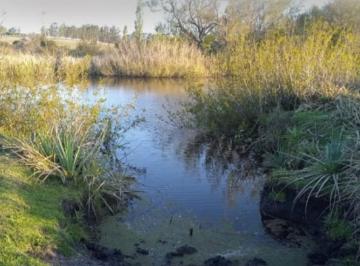 Quinta vacacional · 120000ha · Chacra en Venta 12 Hectáreas en Corte de La Leña — con Opción de Fraccionamiento. Uruguay