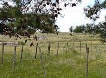 Quinta vacacional · 50000ha · 4 Ambientes · Hermosa Chacra en Venta en San Carlos, Uruguay