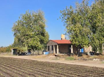 Terreno , Palmira · Venta Chacra Productiva en Palmira