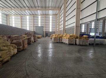 Depósito · 500m² · Depósito | 500 m² | Alquiler | Polo Industrial Ezeiza