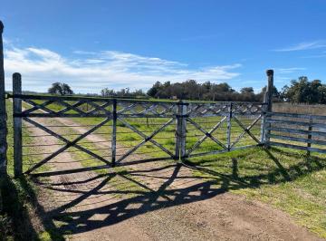 Campo · 119m² · 1 Ambiente · Campo Mixto de 120 Hectáreas en del Carril Pdo de Saladillo