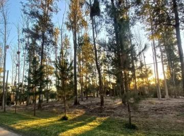 Terreno , Oliveros · Liquido Lote 1200 m²