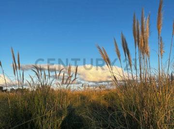Terreno · 80000m² · Lote en Venta