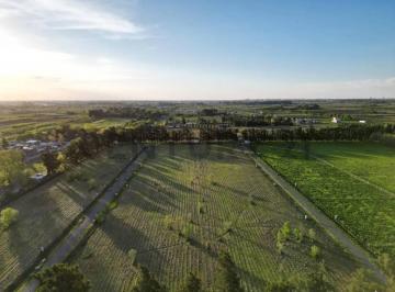 Terreno · 862m² · Venta Lote en Arana - Los Pinares