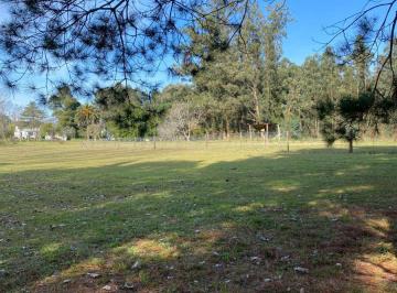 Terreno , Tandil · Lote en Venta