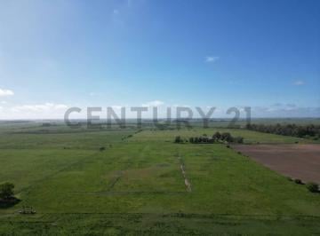 Campo · 13m² · Campo de 14 Hectáreas | Ignacio Correas 22 y 699