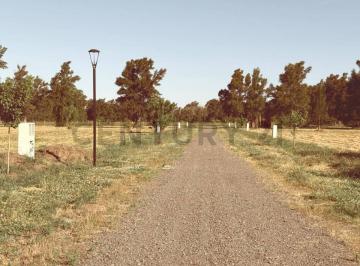 Terreno · 900m² · Lotes de 900 a 1500 m en Los Pinares, Arana, Av 637 E/ 27 y 31