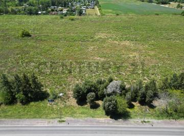 Campo · 12m² · 637 E/ 13 y 16 Arana, 12 Hectáreas con 505 m Sobre Av