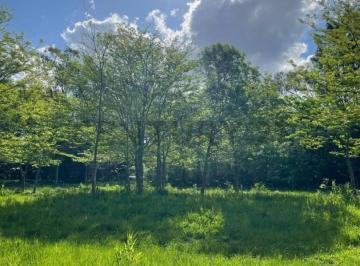 Terreno · 1620m² · Lotes en Arana, 646 20 y 22 a m del Asfalto