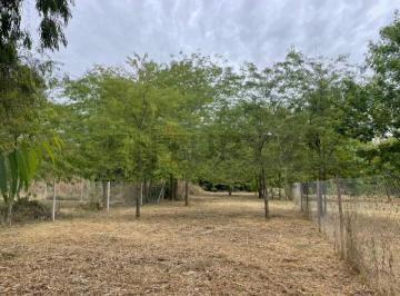 Terreno · 810m² · Calle 646 E/ 20 y 22 - a Pocos m del Asfalto - Lote en Arana