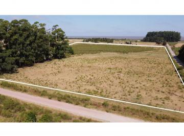 Terreno · 52000m² · Terreno en Venta, Playa Matamora Excelente Esquina