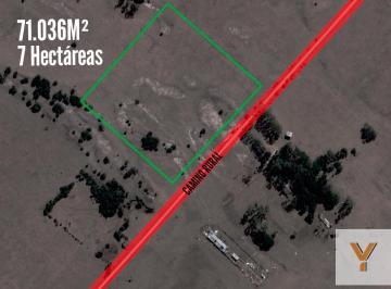 Campo · 71036m² · Campo en Venta - 71.036 m² - 7 Hectáreas - Magdalena, Atalaya
