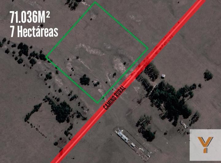 Campo · 71036m²