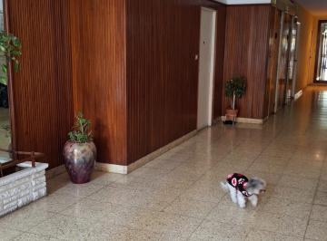Imagen1 · Departamento en Alquiler en Centro