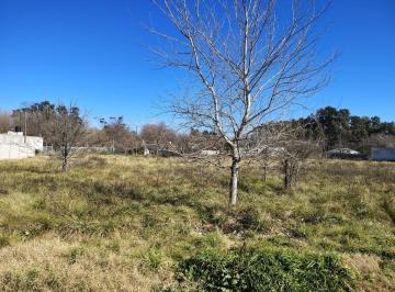 Terreno · 315m² · Venta Lotes San Vicente Domseelar