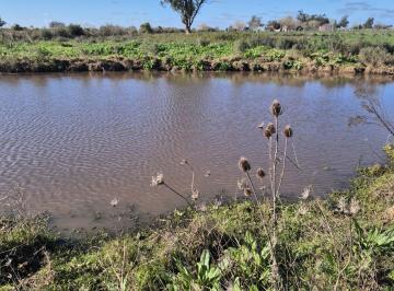 Campo · 56ha · Venta Chacra con Casa Santa Rosa Canelones
