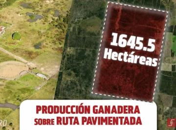 Campo · 16450000ha · Campo en El Toba