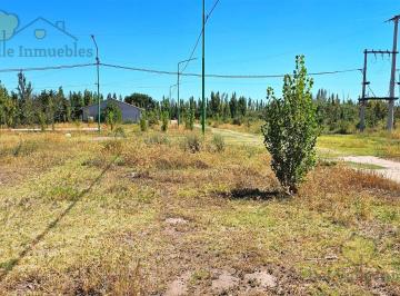 Terreno · 304m² · Terreno en Venta Cinco Saltos, Río Negro