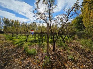 Campo · 100580ha · Chacra Frente de Ruta - Campo Grande
