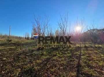 Campo · 13ha · Chacra 13ha a m de La Ruta - Sargento Vidal