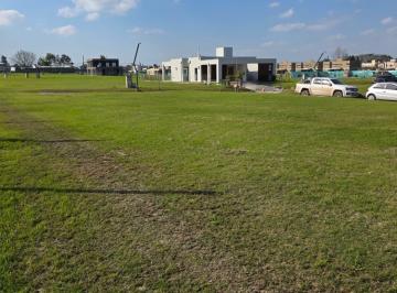 Terreno · 450m² · Terreno Chacra Chubut