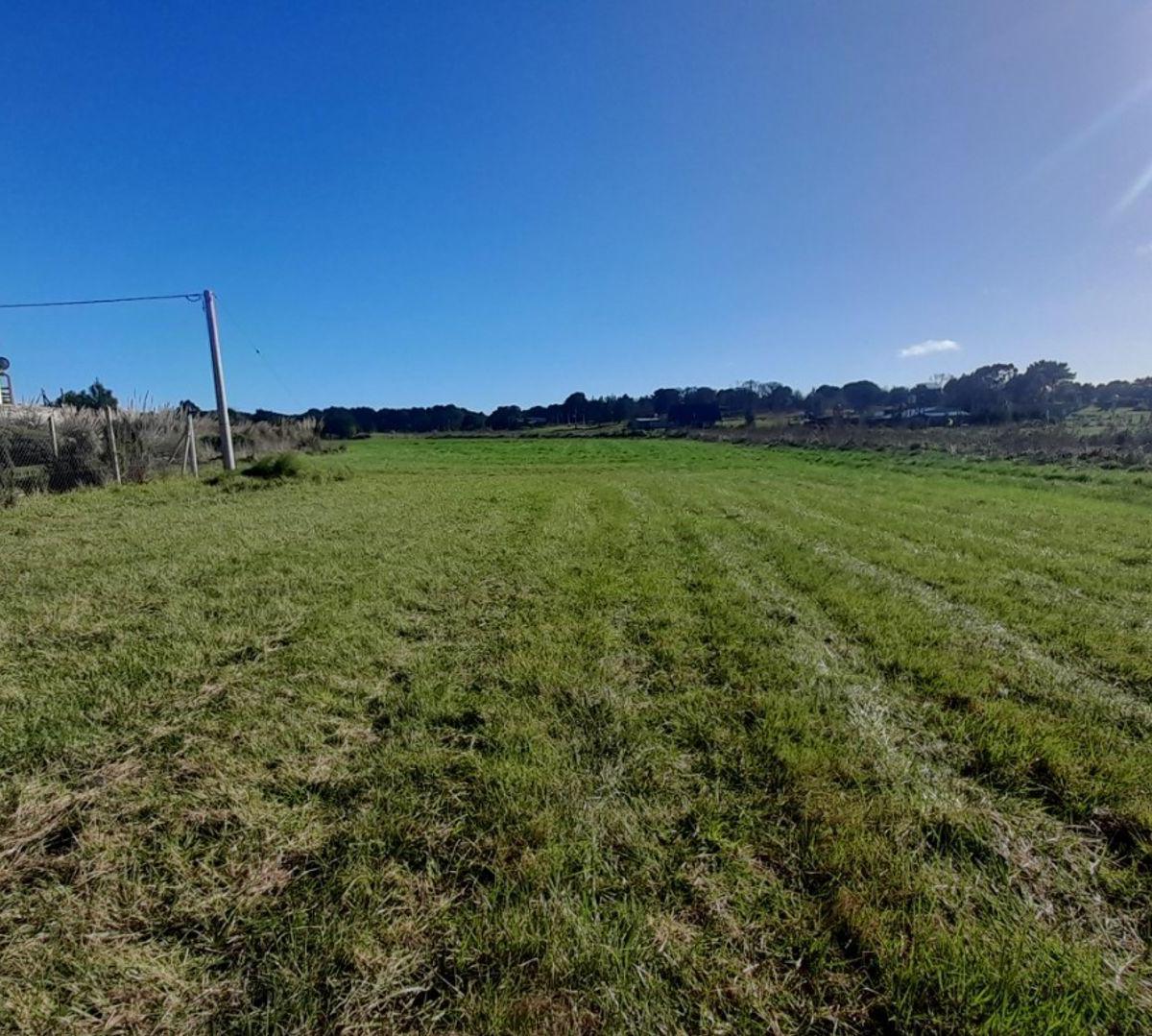 Excelente lote de 522 m² ubicado en el barrio El Marquesado