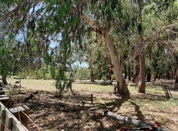 Campo · 20000ha · 2 Has Linderas Al Barrio Ebenezer Ideales Para Barrio de Lotes de 300 M²!