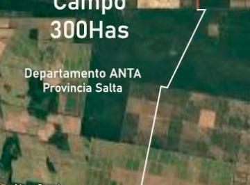 Campo · 300ha · Venta 300 Has en Anta, Zona Talavera. Provincia de Salta