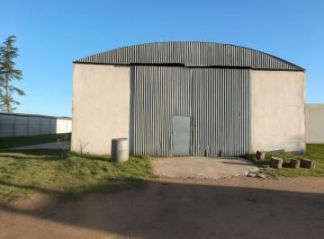 Bodega-Galpón · 120m² · Galpón en Acceso T. Fraire - Quemu Quemu