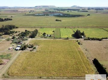 Campo · 40000m² · Campo en Venta - 40.000 m² - Balcarce