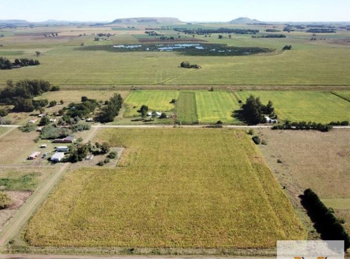 Campo · 40000m²