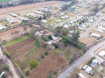 Terreno , San Lorenzo Chico · Vendo Importante Finca, Zona La Ciénaga