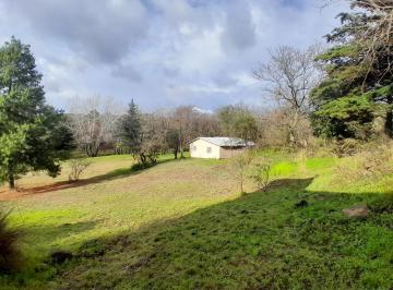 Campo · 800ha · 14 Ambientes · 3,22 Ha con Galpón 2 Casas (800 m² Construidos) | Ruta 5 | Villa Ciudad América