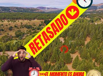 Terreno , San Martín de los Andes · Lote Terreno en Venta en Barrio Postal Patagonia San Martin de Los Andes Neuquen Patagonia Argentina