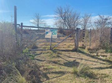 Campo , Gowland · Se Venden Chacra de 14 Hectarias