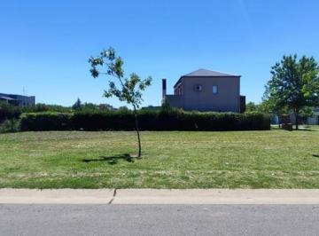 Terreno · 454m² · Lote Interno en Venta en San Alfonso, Pilar del Este