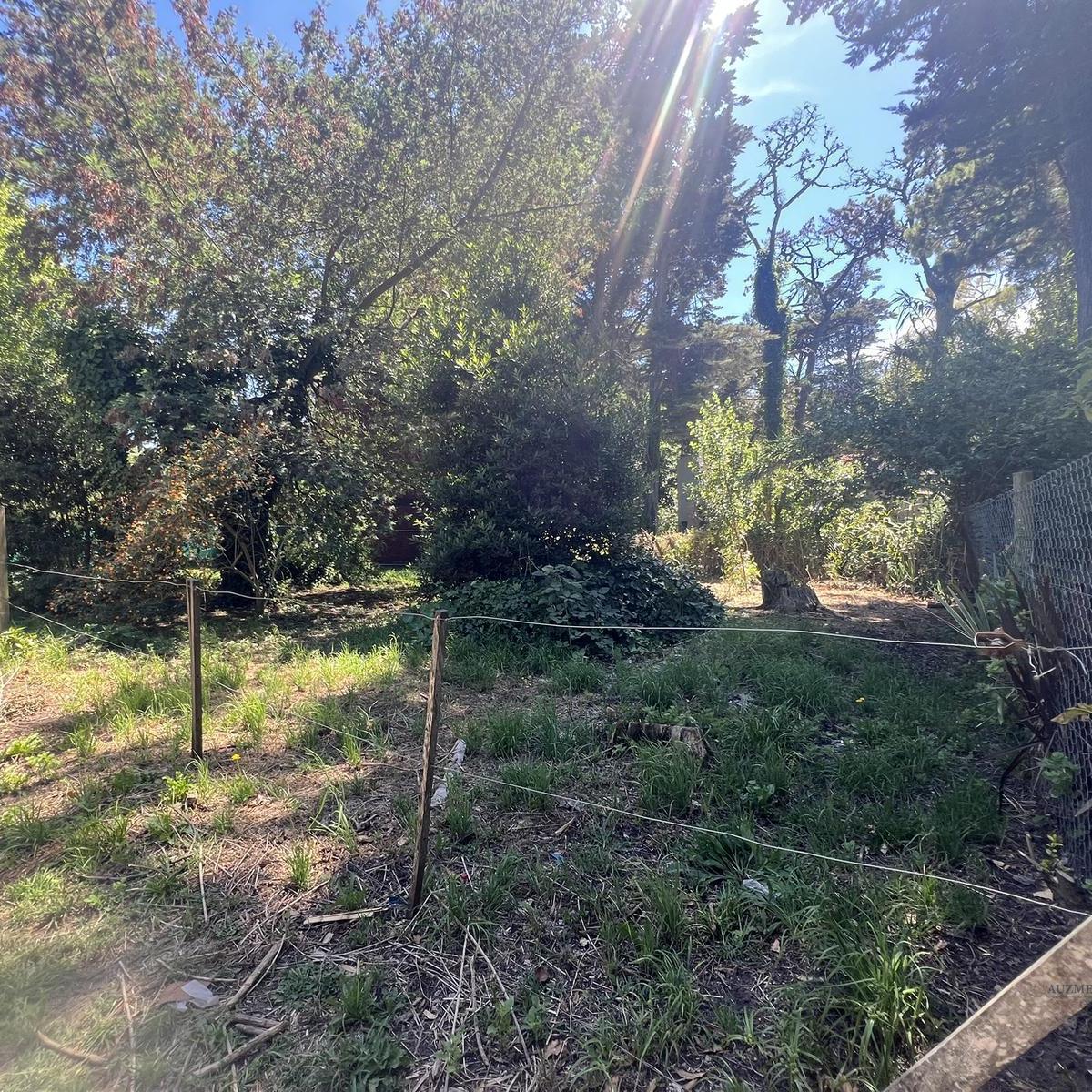 Lote de 393 m² en Bosque Peralta Ramos, oportunidad para construir